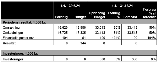 Tabel over periodens resultat og investeringer